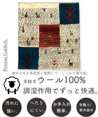 本物志向のイラン産  高密度  ペルシャギャッベ 手織り 272203 40cmx40cm