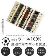 出展中 本物志向のイラン産  高密度  ペルシャギャッベ 手織り 285088 52cmx71cm
