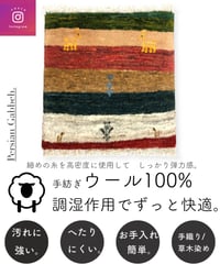 出展中 本物志向のイラン産  高密度  ペルシャギャッベ 手織り 272200 40cmx40cm