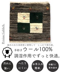 出展中 本物志向のイラン産  高密度  ペルシャギャッベ 手織り 272627 40cmx40cm