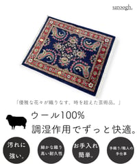 ペルシャ絨毯 手織り サルーク 267634 66cmx81cm