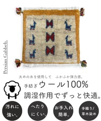 本物志向のイラン産  ペルシャギャッベ 手織り 273524 40cmx40cm