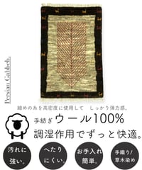 【出展中】本物志向のイラン産  高密度  ペルシャギャッベ 手織り 272650 40cmx60cm
