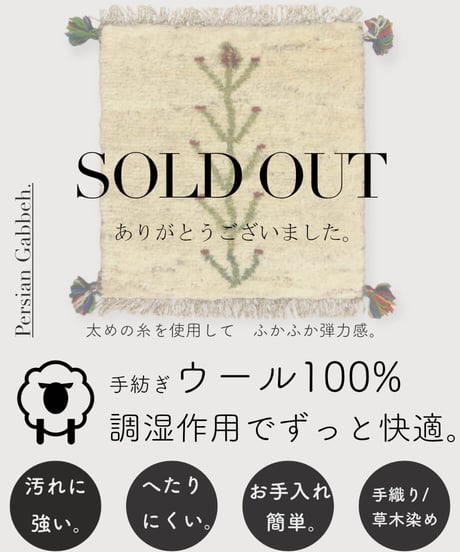 ペルシャギャッベ 手織り 265237 40cmx40cm