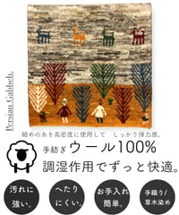 出展中 本物志向のイラン産  高密度  ペルシャギャッベ 手織り 272492 40cmx40cm