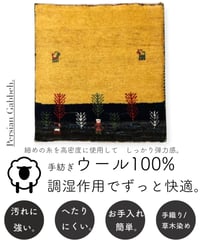 出展中 本物志向のイラン産  高密度  ペルシャギャッベ 手織り 272108 40cmx40cm