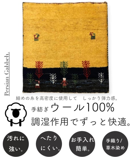 本物志向のイラン産  高密度  ペルシャギャッベ 手織り 272108 40cmx40cm