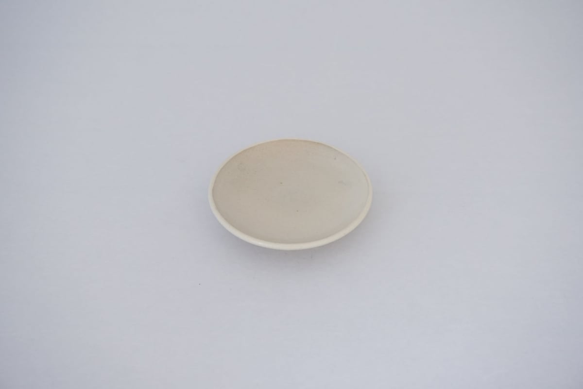 パチュリ様　李英才　平皿　径22.5cm　①＆②　２枚にて 波佐見焼 カレー皿「zen to turehana_b」:オレンジページ shop