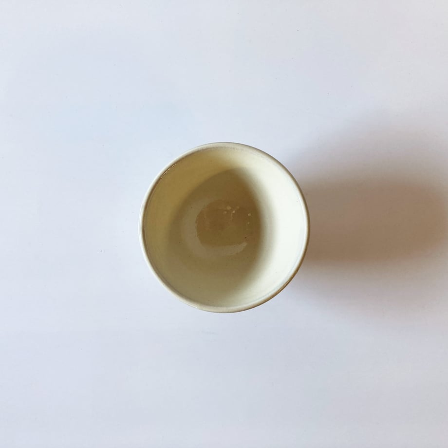 61c5582ac7258623d7f8af56