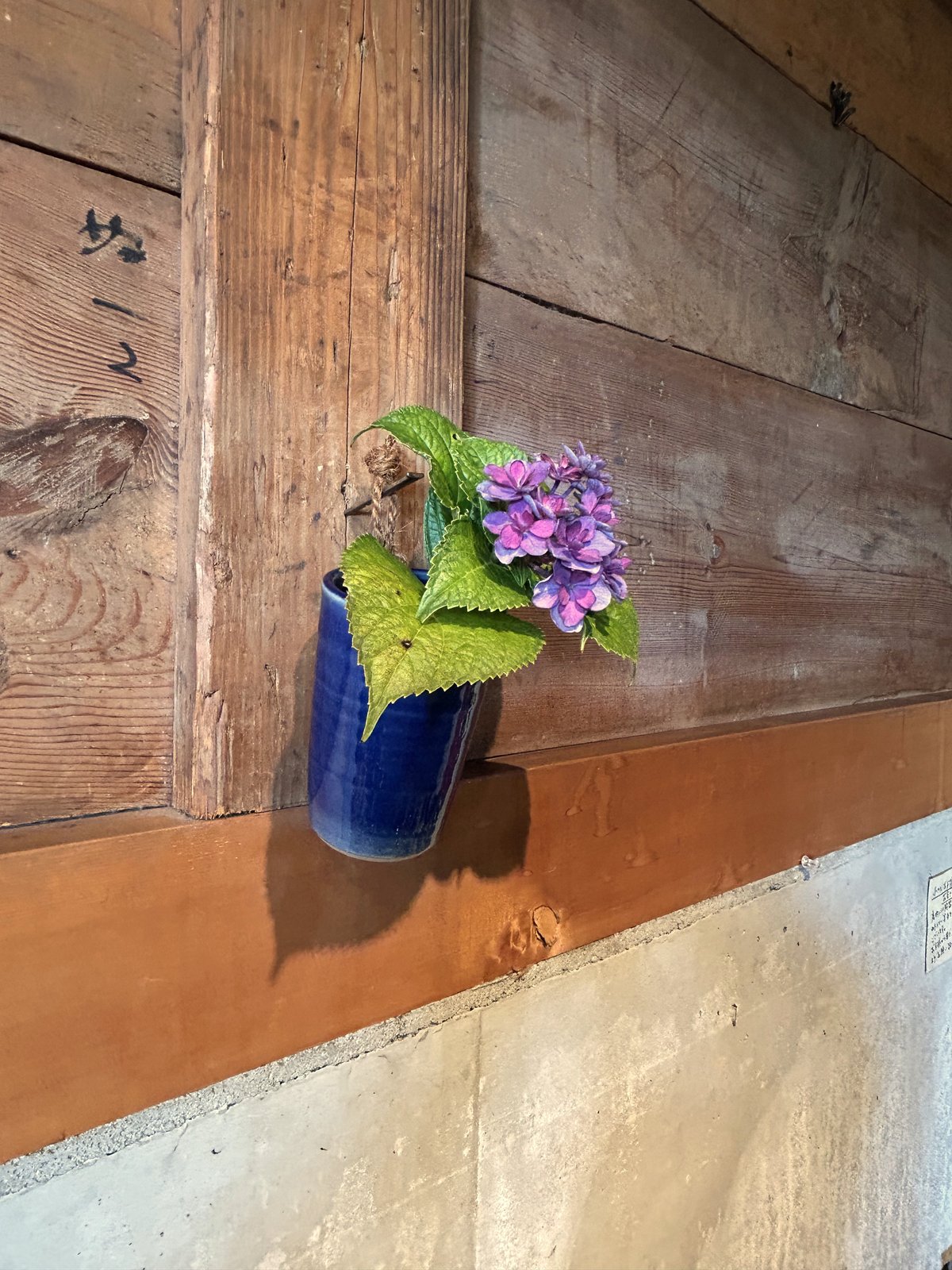 浦富焼 山下窯 辰砂釉花紋 鑑箱 吉田璋也 壺 花瓶 花器 花入 飾壺 浦富焼 山下窯 辰砂釉花紋 鑑箱 吉田璋也 壺 花瓶 花器 花