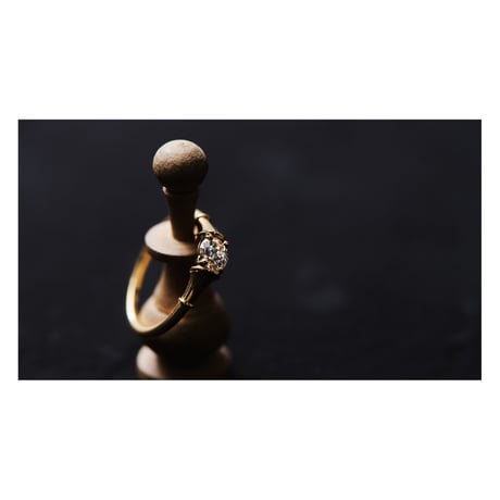 horn / Brilliant cut Diamond Ring