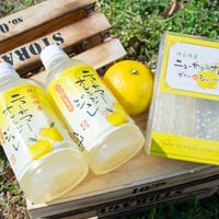 【甘味しるこや悠遊庵】ニューサマーオレンジジュレ６本入・ニューサマーオレンジゼリーdeシャーベット８本×２箱
