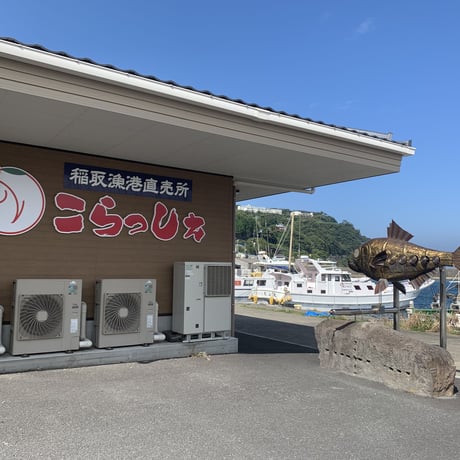 【稲取漁港直売所こらっしぇ】稲取キンメ煮付け（1尾）