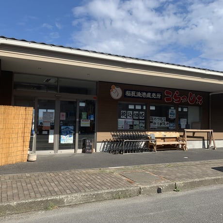 【稲取漁港直売所こらっしぇ】稲取キンメ煮付け（1尾）