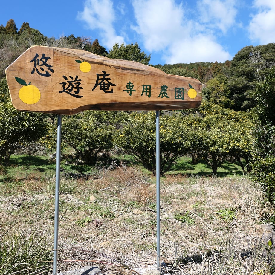 5ff6a8c7df5159167c559fd8