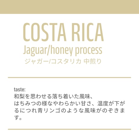 【中煎り200g】コスタリカ　JAGUAR　catura,catuai種　ハニープロセス