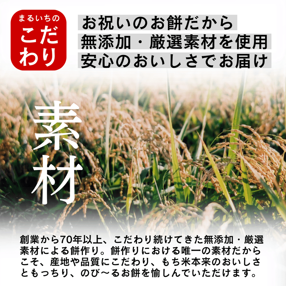 5ed8951851576273f83d7999