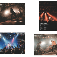 LUNKHEAD OFFICIAL STORE