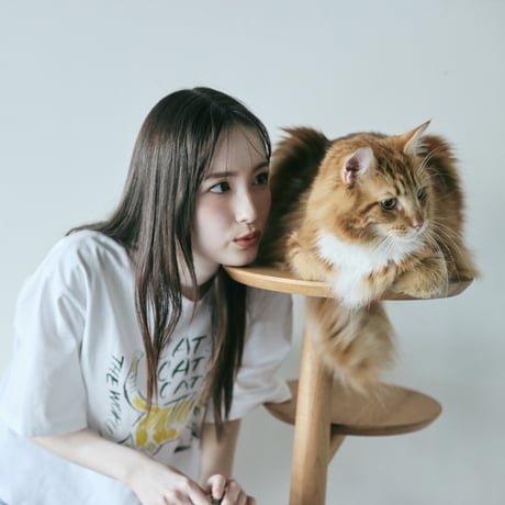 KINOBORI / cat tower