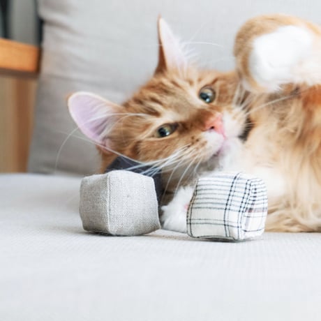 リネンのしかくTOY3個SET【&CAT別注】