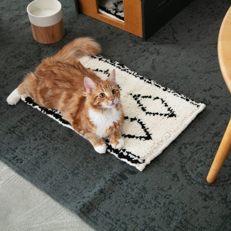 モロッコBeni Ourain ベニワレンラグ L177cm,W114