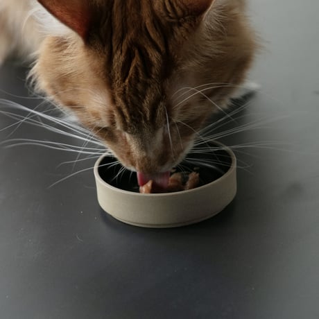 TAJIMI / oyatsu plate