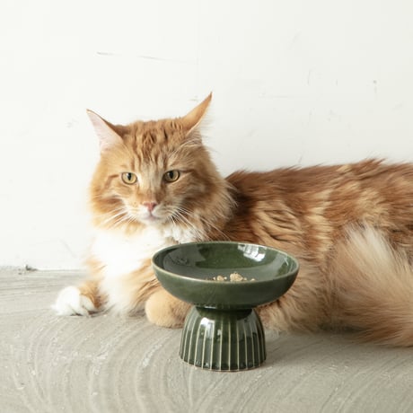 KANON / food bowl ［織部］