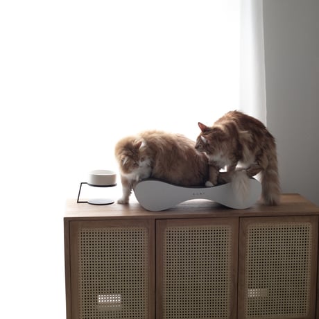 TOG Wave Set［ホワイト］（爪とぎ）