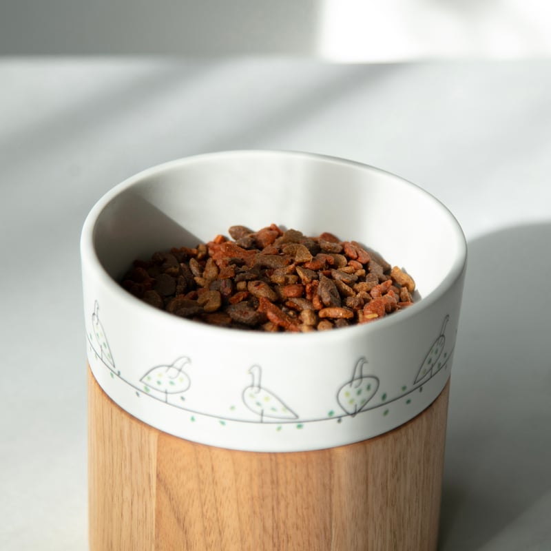 ICHIRO YAMAGUCHI / water bowl ［ tori ］ | & CAT