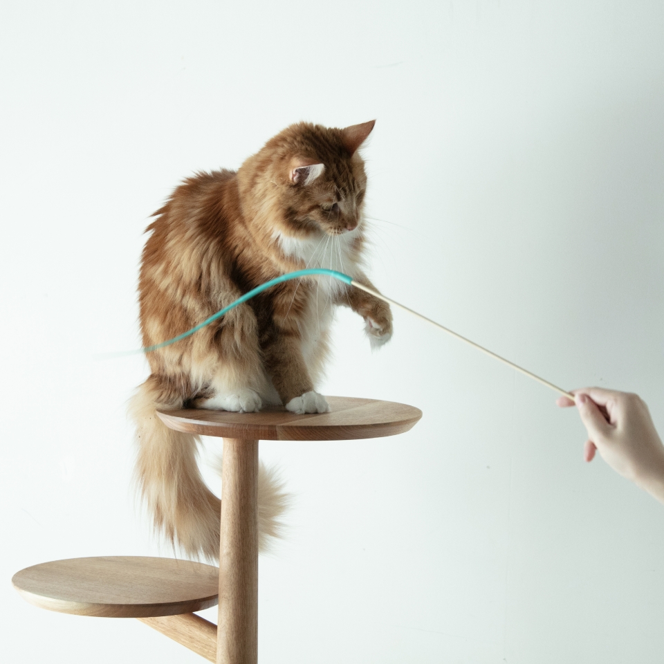 KINOBORI / cat tower | & CAT | ONLINE STORE KINOBORI / cat tower | & CAT | ONLINE STORE