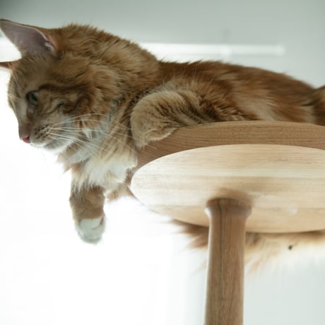 KINOBORI / cat tower