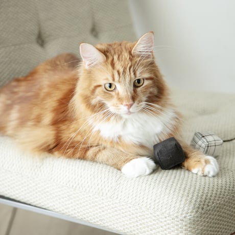 リネンのしかくTOY3個SET【&CAT別注】