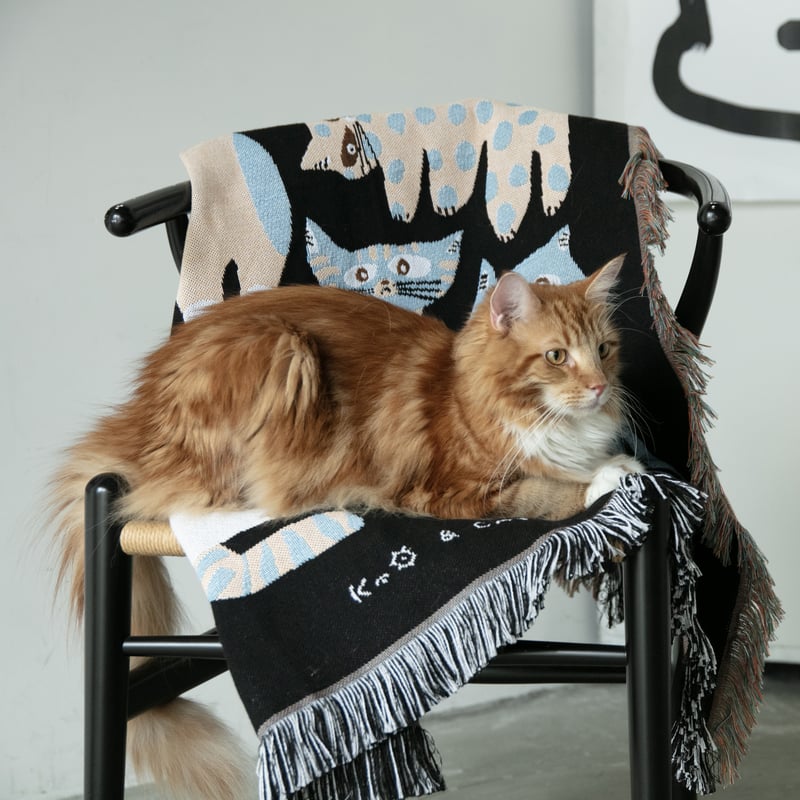 猫屋敷由比 ブロマイド 纏め売り Multi Blanket “nekomoyou” 坪井香保里 | & CAT | O