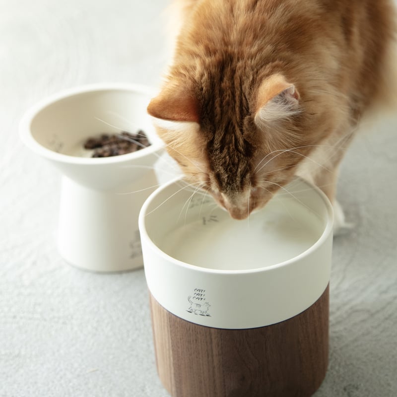 数量限定】Lee Izumida × &CAT / water bowl | & CAT