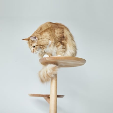 KINOBORI / cat tower