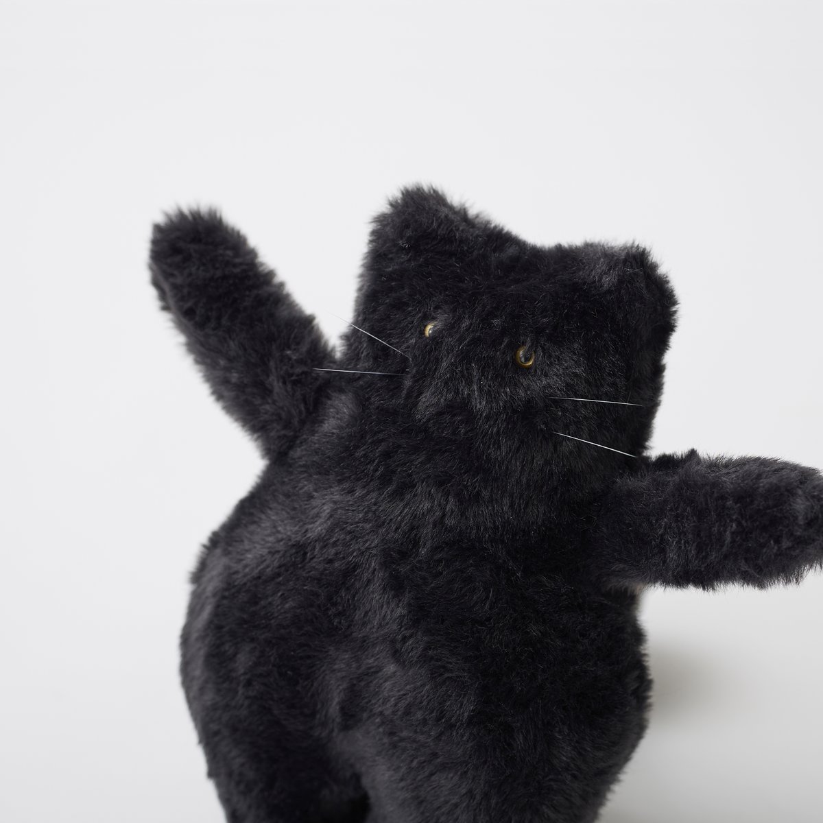 感謝価格(ㅅ´꒳` )黒猫ちゃん 🍬🎃✞👻trick or treat👻✞🎃🍬 年に一度！黒猫ちゃんが大集合