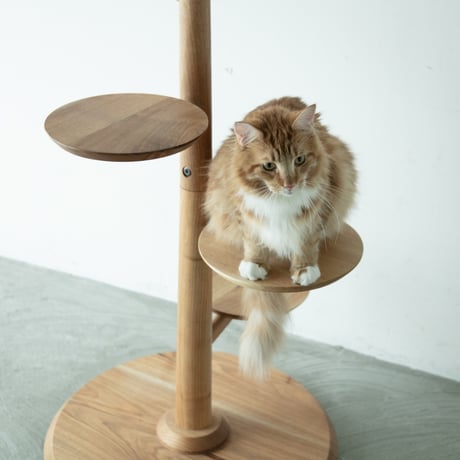 KINOBORI / cat tower