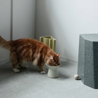 TAJIMI / food bowl ［ white ］
