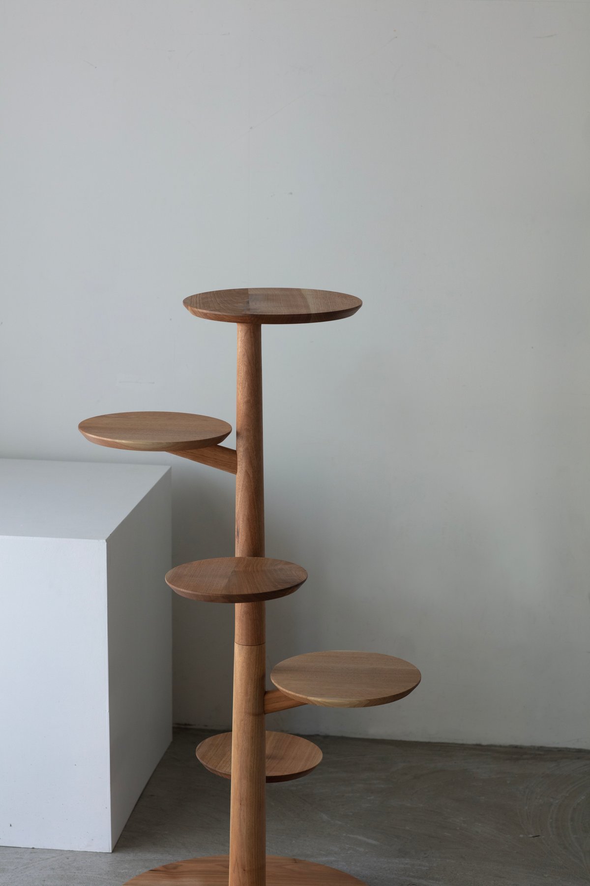 Cat's工房 キャットステップ三日月型オイル仕上げ 【公式通販】