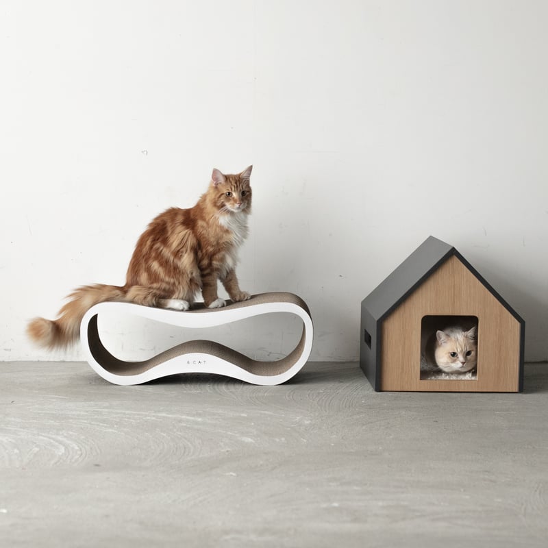 【たくねこさま】2台セット　二代目Pocket Ege Pair キング猫ベッド - MOFUCAT