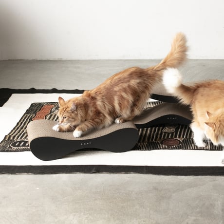 TOG Wave Set［ホワイト］（爪とぎ）