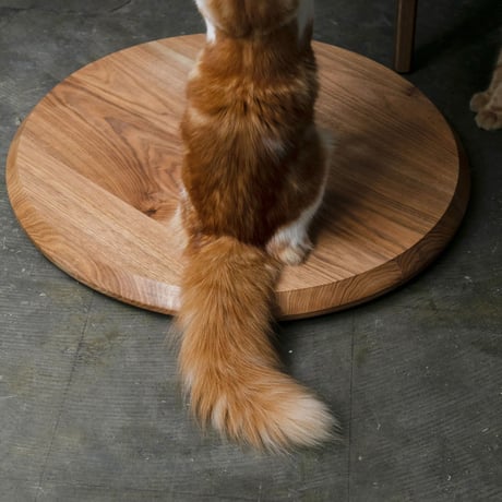 KINOBORI / cat tower