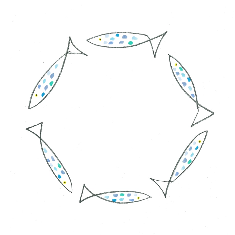 64d98bc06c5f9e0344e00d19