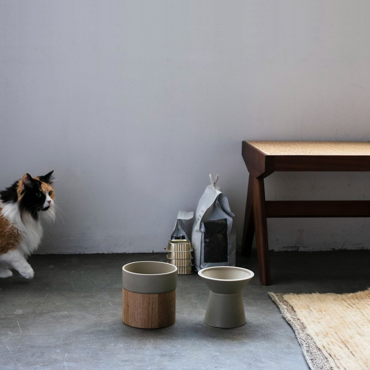 HM BOWL / water bowl ［ 砥粉 -tonoko- ］ | & CAT ...