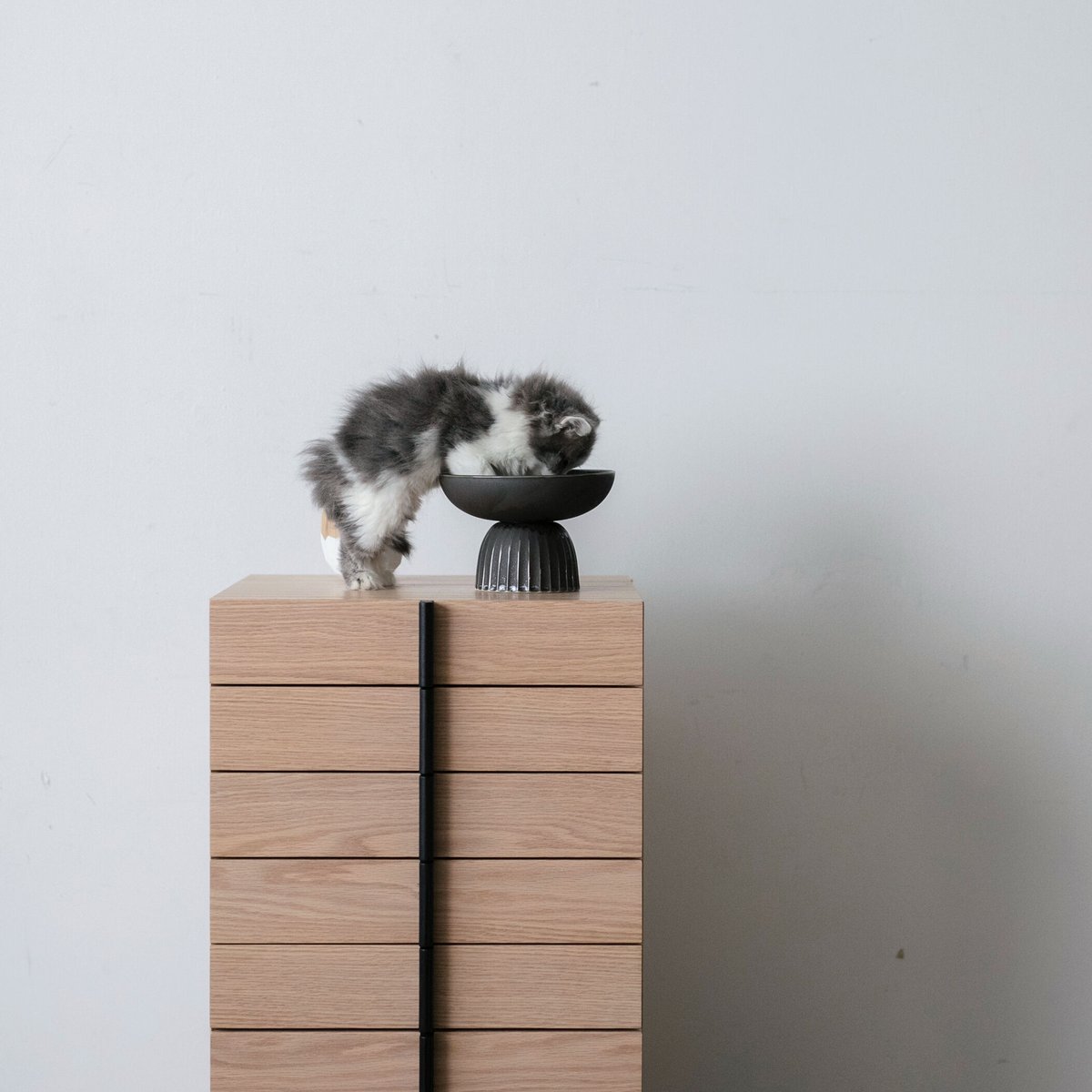 猫のブロンズ(お皿に亀裂あり） 猫のブロンズ(お皿に亀裂あり） （ブロンズ猫／皿を持つブロンズ