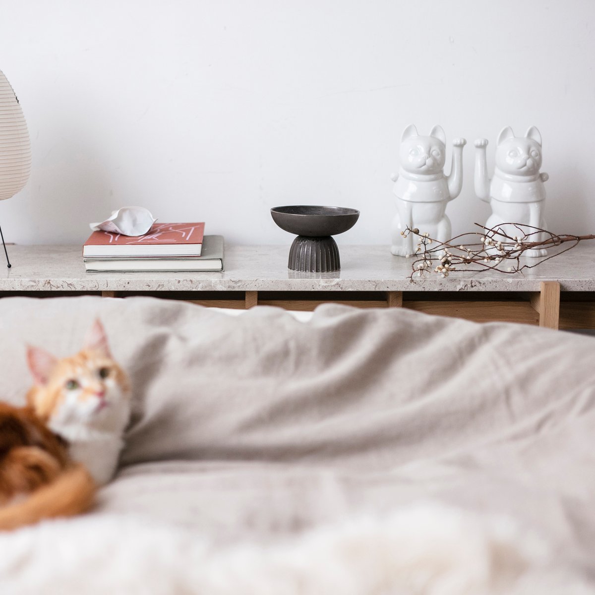 KANON / food bowl ［ブロンズ］ | & CAT | ONLINE S