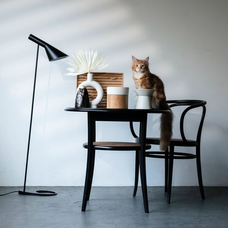 CHALICE / food bowl ［ 絹 -kinu- ］