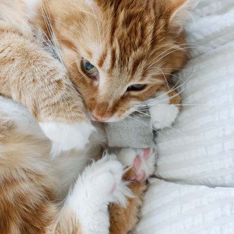 リネンのしかくTOY3個SET【&CAT別注】