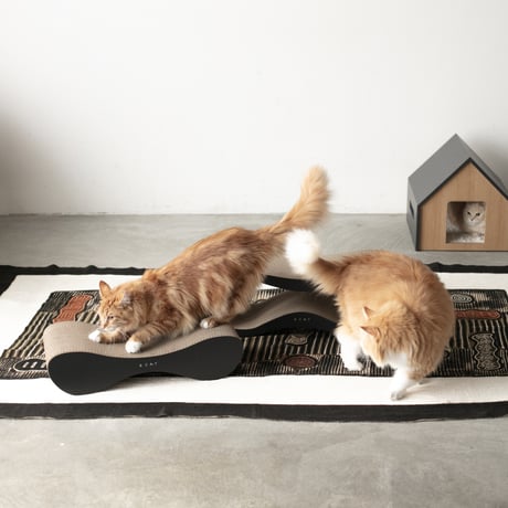 TOG Wave［ブラック］（爪とぎ）