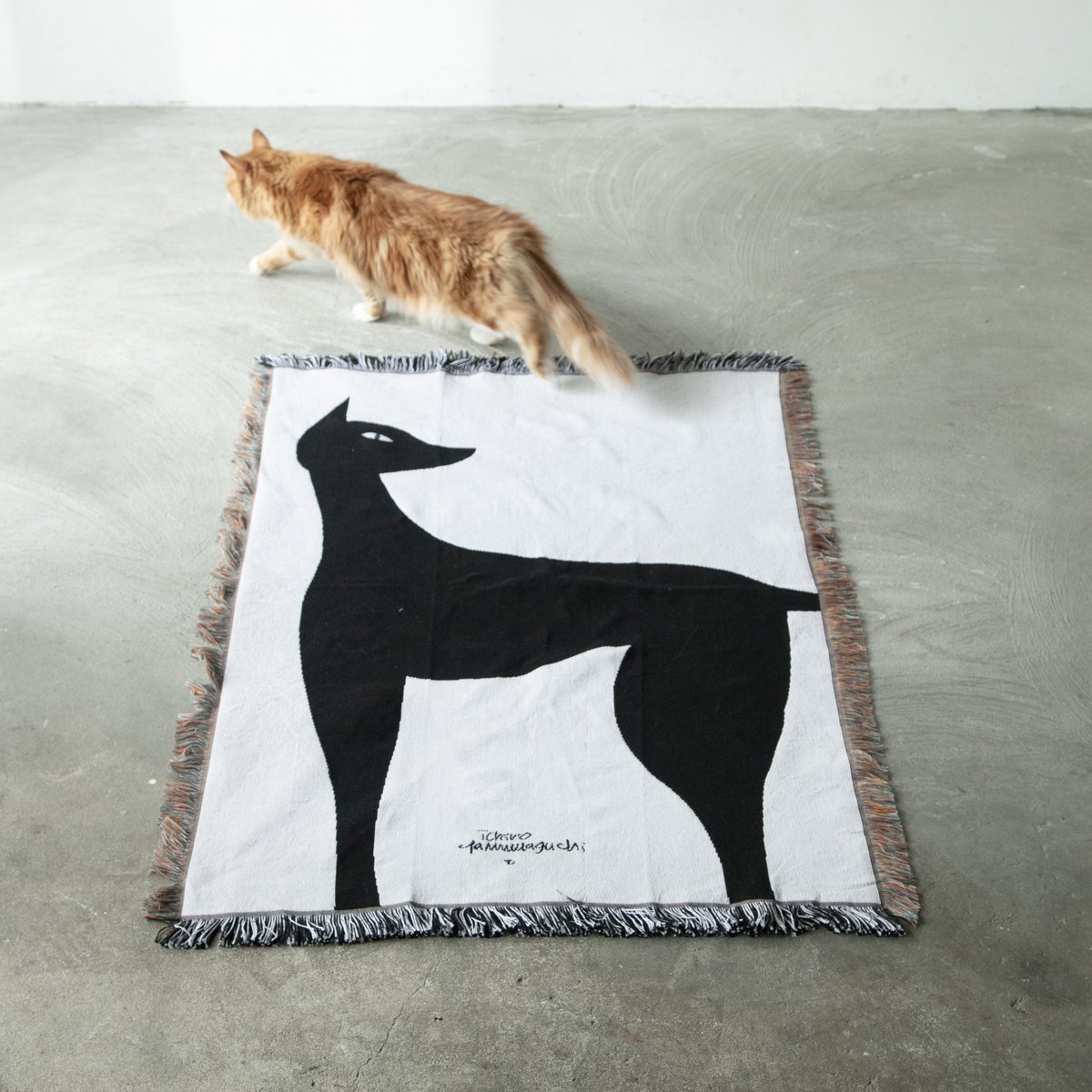 原画山口一郎黒猫kuro neko